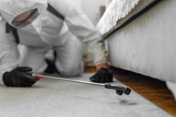Professional Bed Bug Control technician working in Norton city County, VA